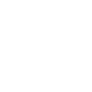 Logo van Van Wijhe